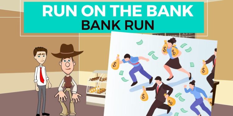 The Anatomy of a Bank Run: Causes, Consequences, and Prevention